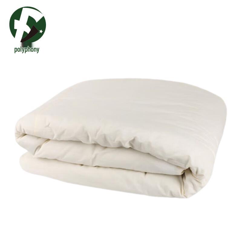 Dormitory Single Bed Mattress Quilt