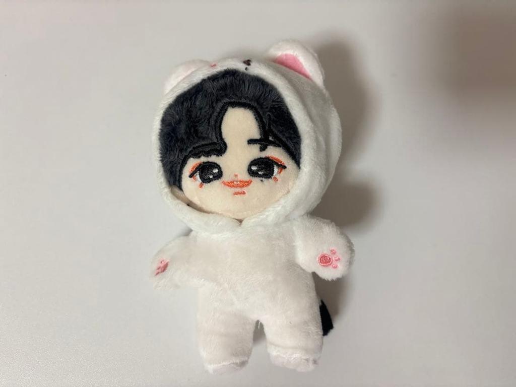 [USED] StrayKids Hyunjin Masternim Plush Toy
