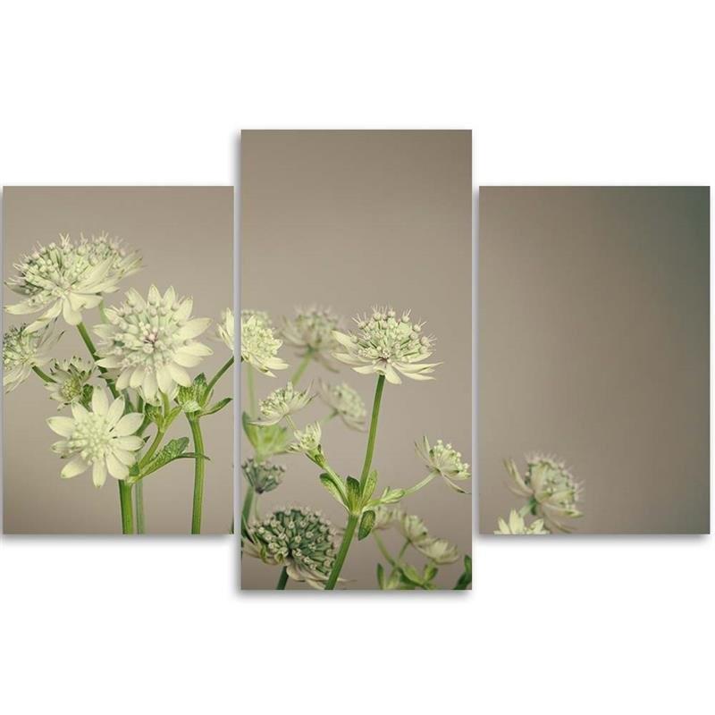 Třídílný obraz na plátně Field Flowers White