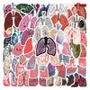 55 New Lung Organs Graffiti Stickers Decorate Scooter Mobile Phone Waterproof Stickers
