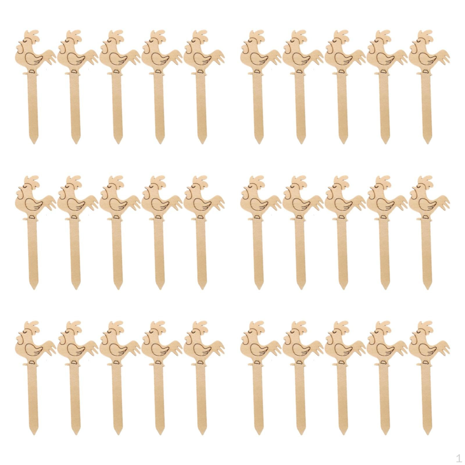 

30 Count Plant Identification Markers for DIY Projects and Decoration 12x4.5cm