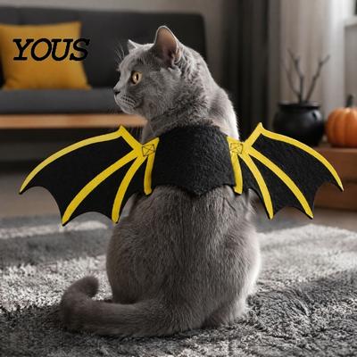Kedi – Kediler için giyim