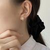 Niche Design Zirconia Earrings Female Lukewarm Style Fashion Minimalist Temperament Senior Sense of Hundred with The Models of Exquisite Earrings