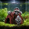 Handgefertigte Totenkopf-Aquariumdekoration Harz-Höhlenverstecke Künstlerische Totenkopfform Fischbecken Dekoration