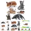 Realistic Forest Animal Models Set Including Hamster Snail Sugar Glider Mouse Meerkat Anteater For Kids Educational Playtime Fun
