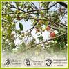 10/30Pcs Fruit Tree Branch Shape Fixator M-Type Branch Trainer Angle Benders Reusable Fruit Tree Support Holder Vine Trainers