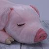 Shinada Happiness Series, Happiness Pig That Brings Happiness (LL) 30 X 15 X 70cm, Plush Toy, Miscellaneous Goods, Animal Goods, HPW-0880P