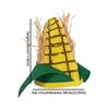 Comfortable Elastic Fit Corn Shaped Funny Party Hat Soft Felt Quirky Cosplay Cap  Halloween