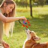 Dog Training Clicker Pet Cat Dog Click Trainer Easy To Use for Cat Puppy Birds Horses Aid Adjustable Wrist Strap Sound Key Chain