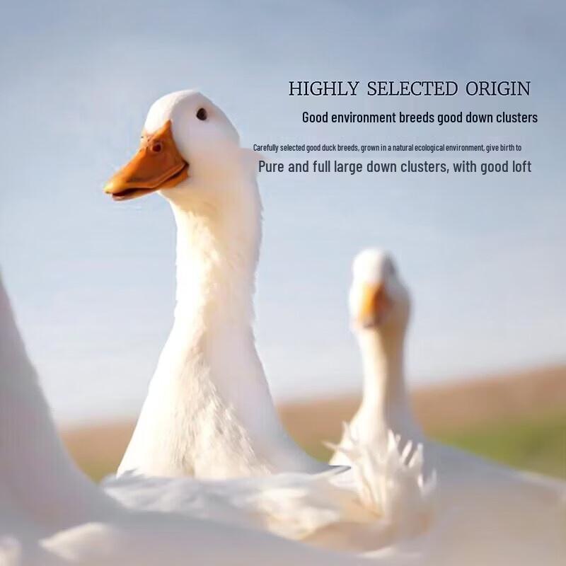 Mercury Home Textiles 90% White Duck Down Quilt