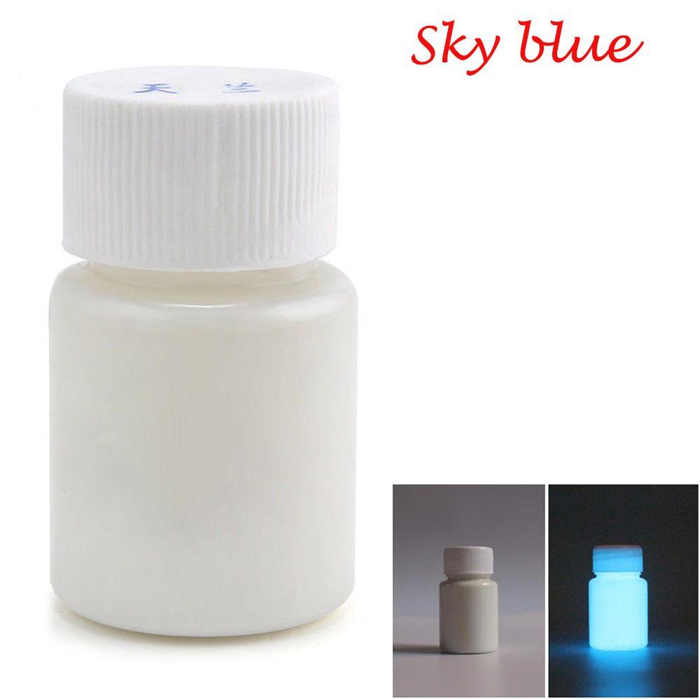 20g Fashion Bright DIY Craft Luminous Paint Acrylic Glow In The Dark Pigment
