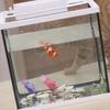 Yousheng Wasseraktivierter leuchtender elektrischer Fisch Badespielzeug für Kinder Interaktiver Roboter-Schwimmfisch für Pool Wanne Blinkendes wasserdichtes Spaß Sommergeschenk