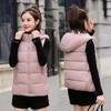 Wholesale New Women's Clothing Korean Version Versatile Sports Thin Sugar Women's Hooded Cotton Vest Vest Vest