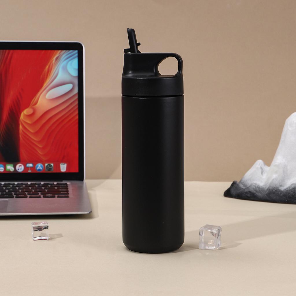 550ml Matte 304 Stainless Steel Insulated Tumbler, Flip Straw Lid Water Bottle for Office & Daily Use