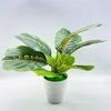 Creative Artificial Bonsai Versatile Anti-fade All Match