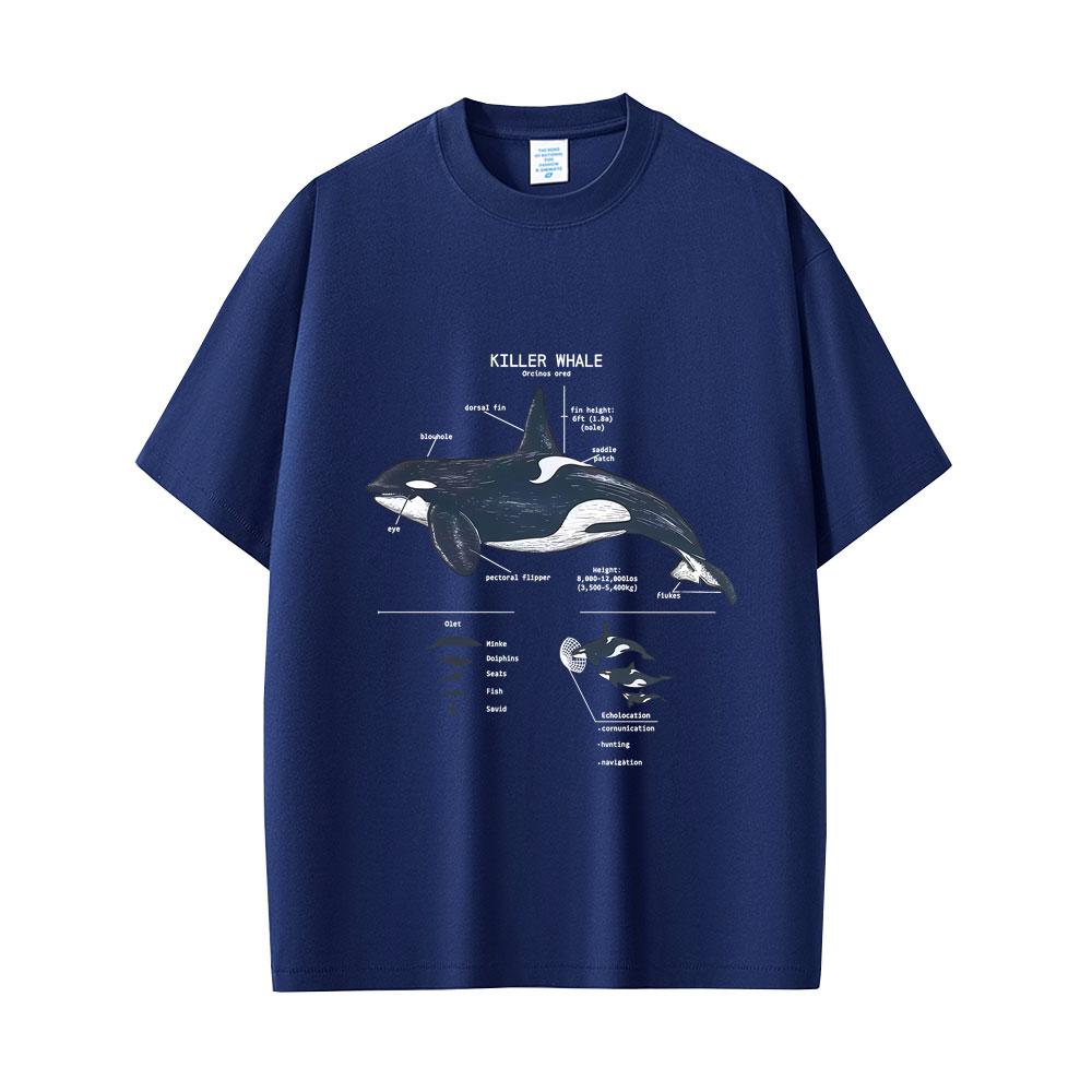 Marine Animals Killer Whale Anatomy Graphic Tshirt Mens Womens Casual Funny T Shirts Tops Unisex Fashion Oversized Streetwear