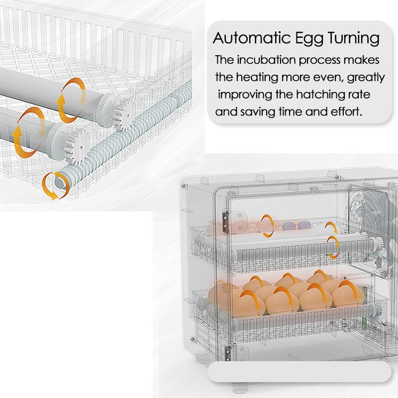 24 Egg Full Automatic Turning Incubator Touch Temperature Control Hatching Machine Chicken Duck Quail Bird Brooder for Household