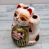 Takasaki Daruma 20cm In for Financial Luck and Prosperity for Good Fortune and Traditional for Fulfilling for Business Rare Auspicious Japanese-made