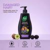 Nyle Naturals Volume Enhance Shampoo 1 L, For Long & Voluminous Hair with Blackberry, Reetha, & Amla | pH Balanced & Paraben Free Gentle & Soft Sh