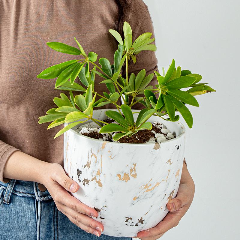 Marble Pattern Ceramic Flower Pot with Gold Tray - Nordic INS Style