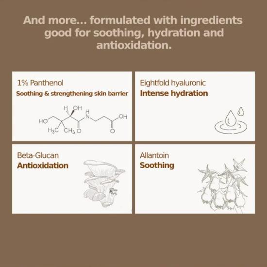 KAINE Kombu Balancing Ampoule Toner 150ml | 1pc / 2pcs