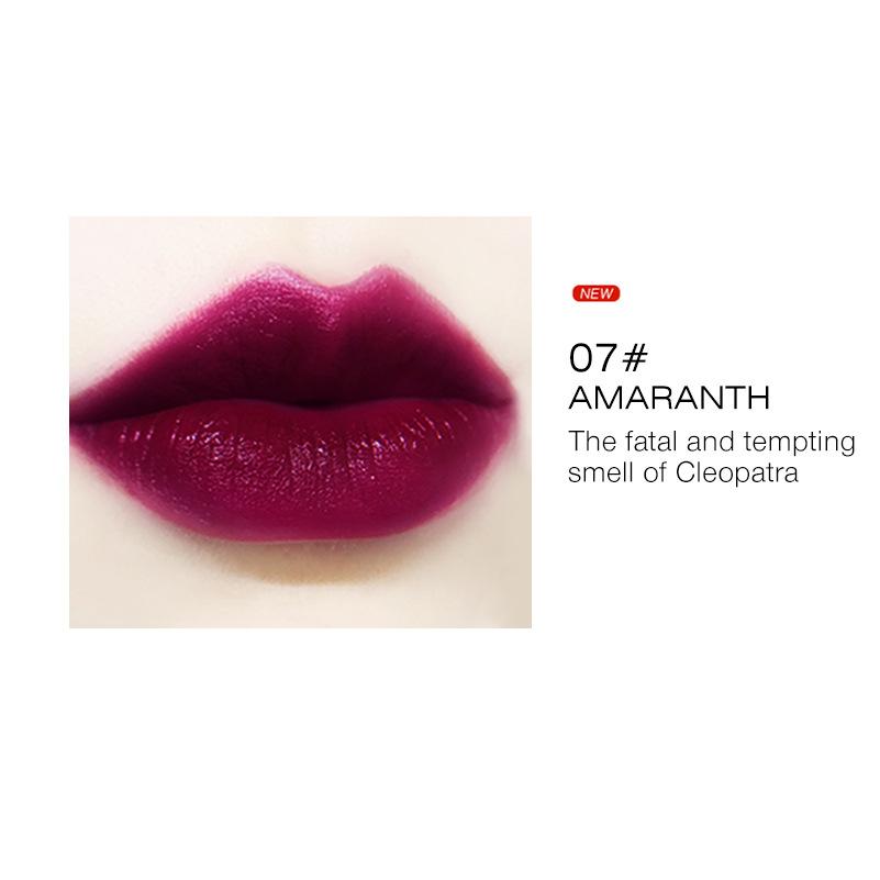 

Глянцевая обесцвечивающая помада Губная помада Push Up Матовая матовая помада для макияжа