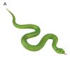 Decoration Flexible Eco-friendly Soft Animal Model Children Educational Toys Trimeresurus Stejnegeri