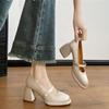 New Chinese Mary Jane High Heels Women's 2025 Spring and Autumn Wind Summer Cheongsam Shoes Horse Dress Shoes Thick Heel Single Shoes Women