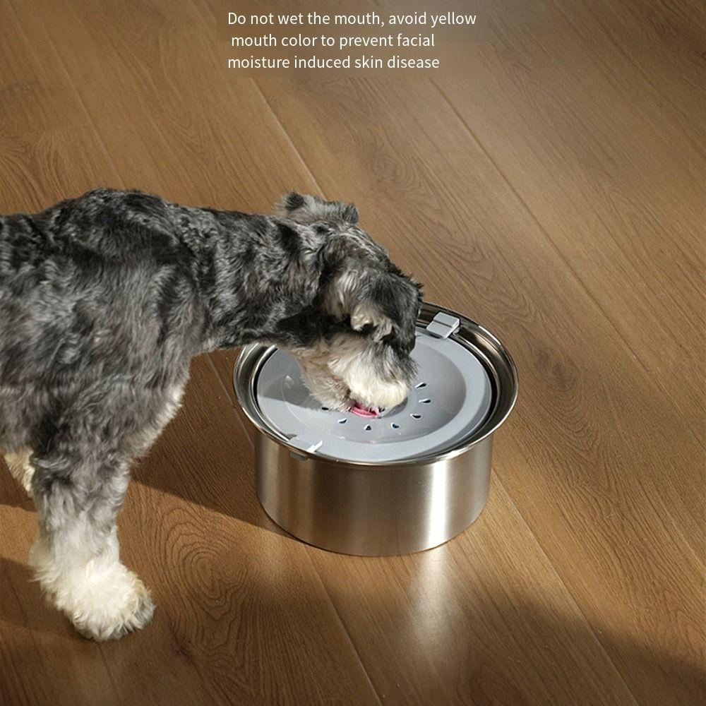 Filter Element Pet Floating Bowl Large-capacity Water Dispenser Upgraded Slow Drinking Feeder  Cat