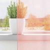 VidaXL Rideaux en voile avec boucles 2 pcs rose 140x175 cm, rideau en filet, rideau transparent, voile de fenêtre, 4102287