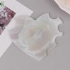 1Pcs Nail Art Display Cards Handmade Nails Photography Prop Nailfie Disc Nail Salon Accessory Nail Tech Prop Nail Selfie Disc