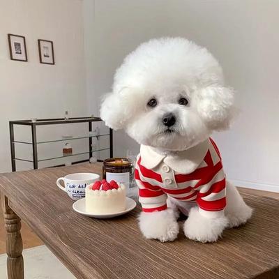 Autumn Striped Shirt Thin Teddy Small Puppy Cat Pet Cat Puppy Dog Clothes Pet Products Dog Sweaters Supplies