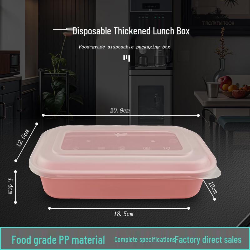 Disposable Japanese-Style Bento Box