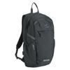 Regatta Prism 20L Backpack