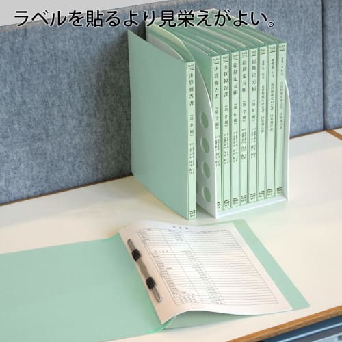 Plus Printing Flat File Financial Report A4 No.021HA 10 Books 79-305ÁE0