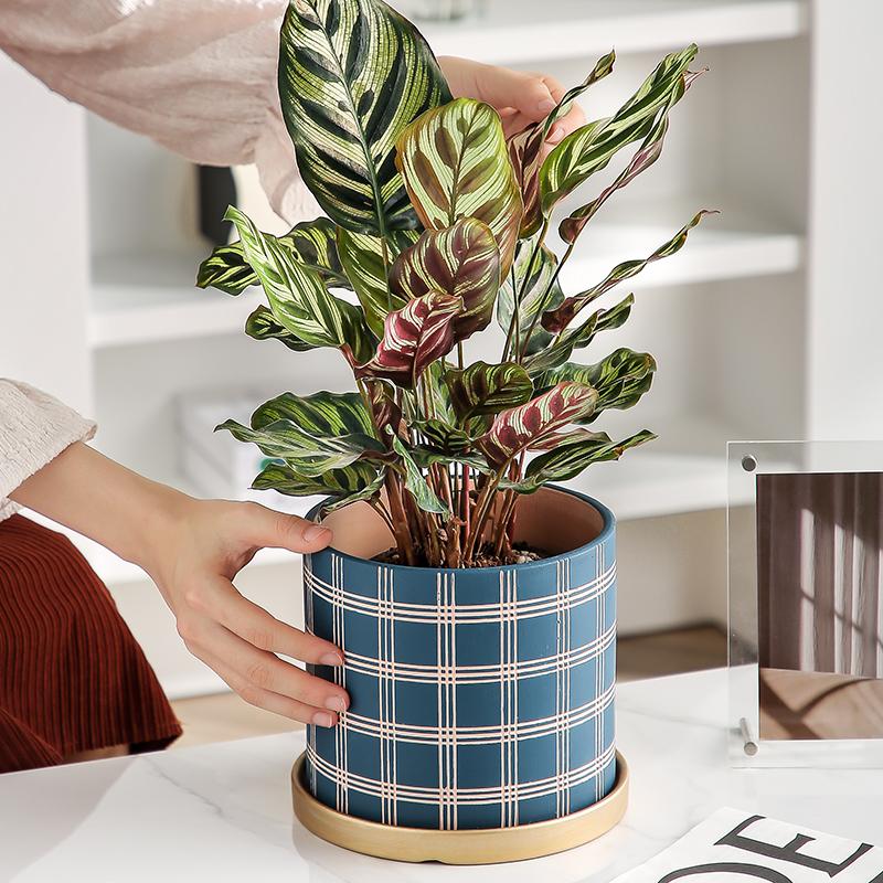Nordic Stripe Plaid Pattern Ceramic Flower Pot Indoor Vintage Flower Plant Potted with Saucer Vase Living Room Office Flower Pot