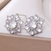 Korean-Japanese Style Zirconia Snowflake Flower Stud Earrings - Light Luxury Niche Design