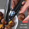 Chestnut & Walnut Opener: Shelling & Peeling Tool