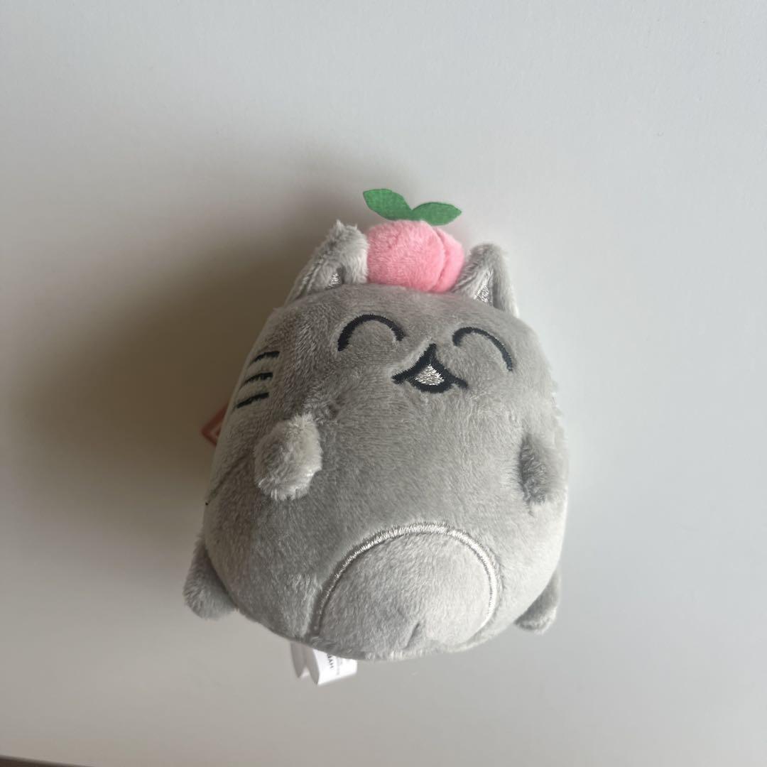 

[USED] SEVENTEEN Jun Artist Made Key Ring Chamga Gray