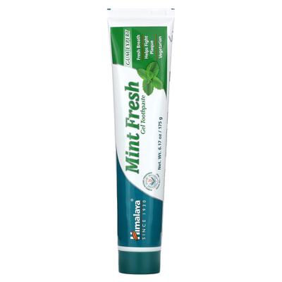 Mint Fresh Gel Toothpaste, Indian Dill - Mint, 6.17 Oz (175 G)