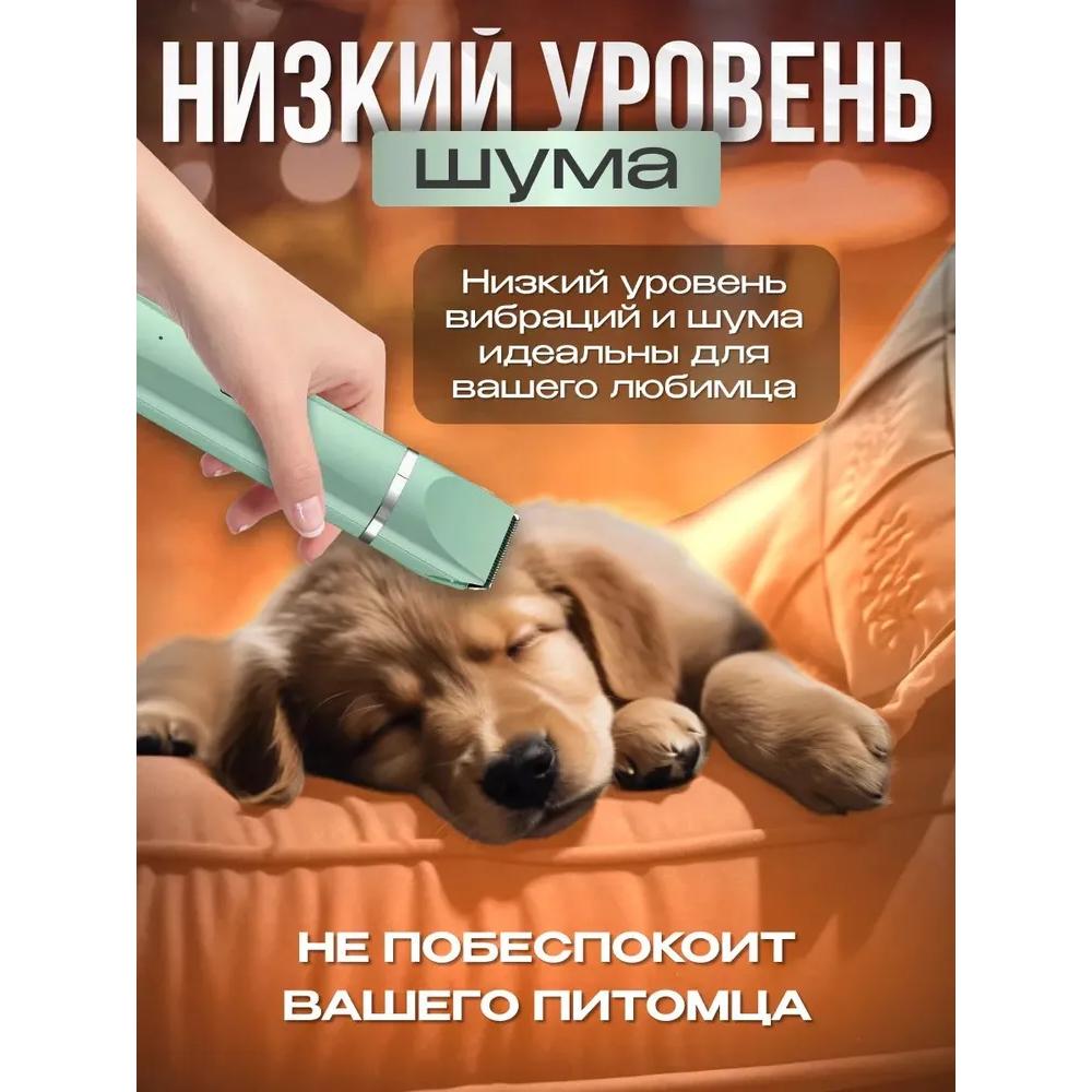 Professionelle leise Hund- und Katzenpflege-Maschine 3 in 1 / Kabelloser Haustier-Trimmer mit Krallenaufsatz / Schleifer