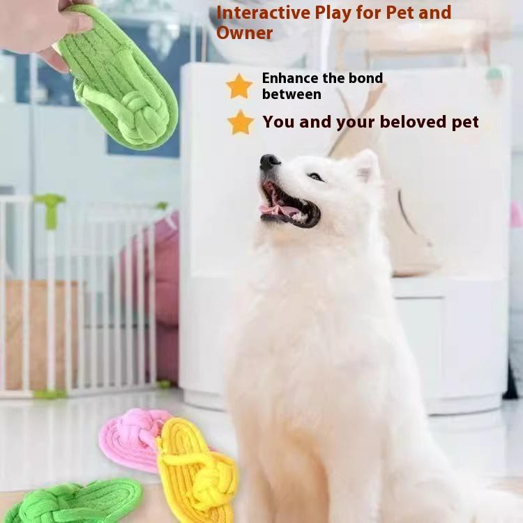 Dog Knot Toy Grinding Teeth Biting Bone Teddy Bigbear Small and Medium Dogs Bored Interactive Pet Supplies