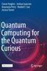 Libro Quantum Computing for the Quantum Curious