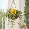 Self Watering Bulb, 500ml Transparent Automatic Plant Irrigation Ball, Holiday Plant Watering Bulb with Lid for Indoor Houseplants