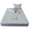 Class A Summer Cooling Cartoon Ice Silk Quilted 3-Piece Mat Set with Fitted Sheet