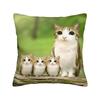 Surprised Meowl cat Owl Square Pillow Case  Cushion Cover Fashion Zipper Decor Throw Pillow Case Cover for Living Room 40*40cm