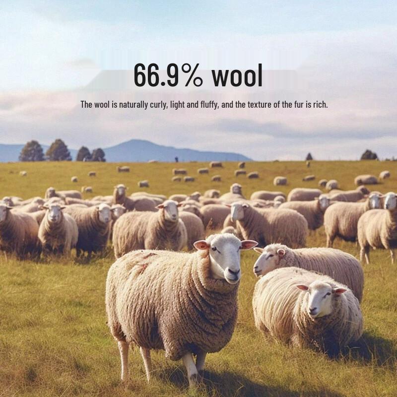 LANDUO Men's Mid-Length Wool Blend Winter Overcoat