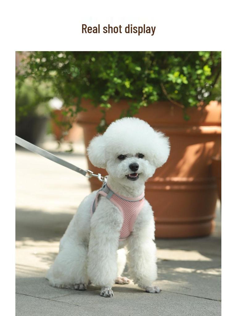 Breathable Vest-Style Pet Harness & Leash for Small Dogs & Cats