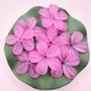 50Pcs Receptacle Frosted Semi Transparent 28.5mm DIY Making Handmade Material 5 Petals Flower DIY Earring Hair Jewelry Accessories