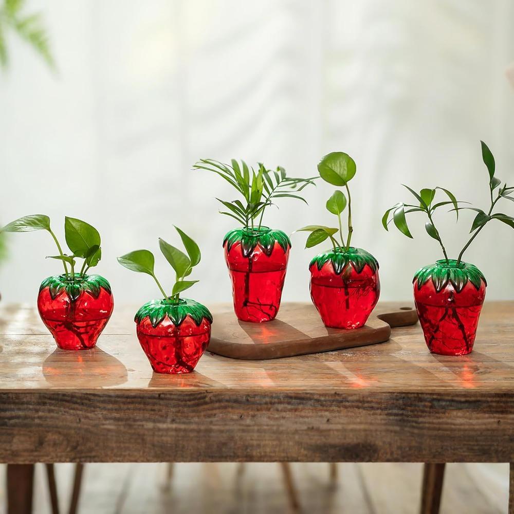 Cute and Creative Glass Strawberry Shaped Propagation Vases for Plants Decor for Home Office Unique Indoor Hydroponic Planters